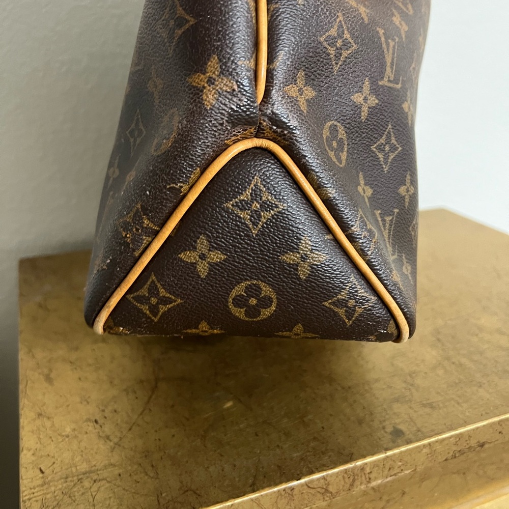 Louis Vuitton Delightful MM - Picture 7 of 9